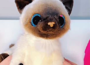 Pet Cute Pet Toy Doll: Children's New Favorite