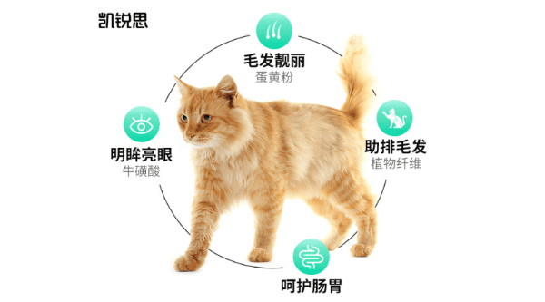 Keris Cat Food: A Safe and Nutritious Choice