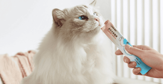 Lidou Neptune Cat Strips: A healthy choice for your cat