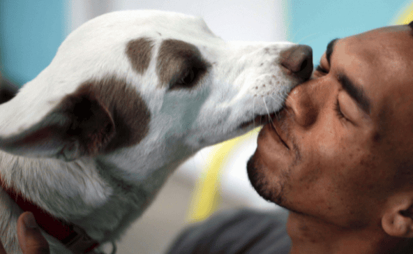  What are the benefits of dogs 