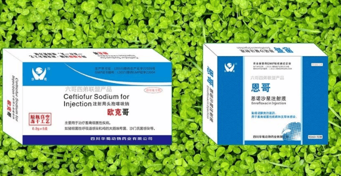 Sichuan Huashu Animal Pharmaceutical Co., Ltd. - Product Promotion Guide