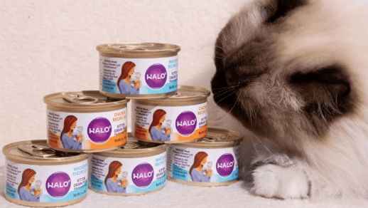 Halo Science | How should I change food for kittens?