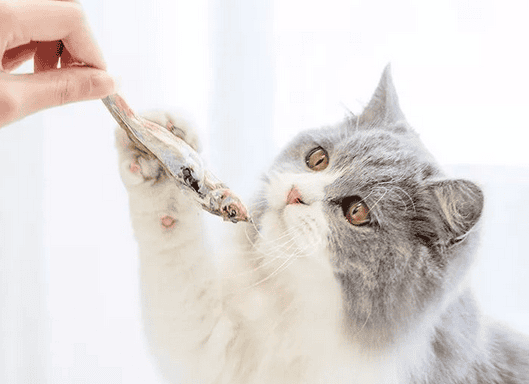  Addictive! Chongmi pure fish snacks tease the cat's taste buds! , after several trials and experiments, Chongmi launched this freeze-dried spring fish snack, which is both nutritious and delicious. </p><p>As a deep-sea fish, spring fish is naturally capable of stimulating cats’ eating habits. What’s more, it is also a famous polyseed fish with extremely high roe content, and the roe is well known for its rich nutrition. of. </p><p>99.9% of Chongmi’s freeze-dried spring fish contains fish roe. The addictive taste of popping seeds in your mouth is simply a bonus for greedy cats! </p><p>Feeding the whole dog has an unexpected effect of teeth grinding and cheek growth. </p><p style=