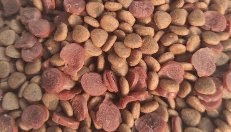 Is Dukelly dog ​​food a domestic brand?