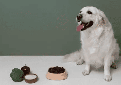 Le How about Pet Diary dog ​​food?