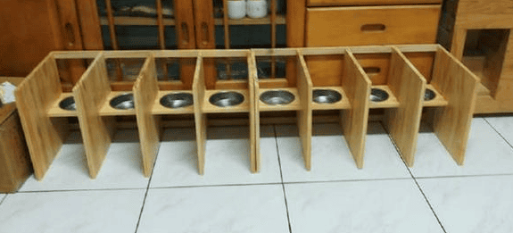 An orange cat snatched food from other cats. After being caught by the official, he refused to admit his mistake! ></p><p>It turns out that the owner was afraid that the cats would steal each other's food, so he made 8 grids to separate them. After making them, he forgot that he had 9 cats. As a result...</p><p>Every time Once it’s time to eat, it becomes a competition for seats! Phew~~~~The cats are fighting for their slots every day~</p><p style=