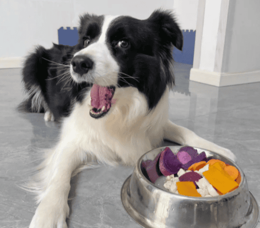 Can dogs eat purple sweet potatoes