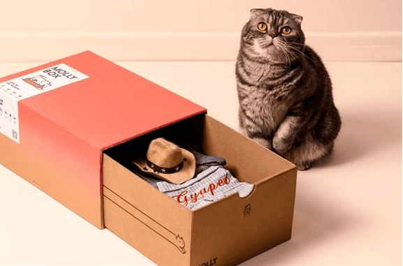 Magic Cat Box completed US$20 million in financing, how should domestic pet e-commerce develop