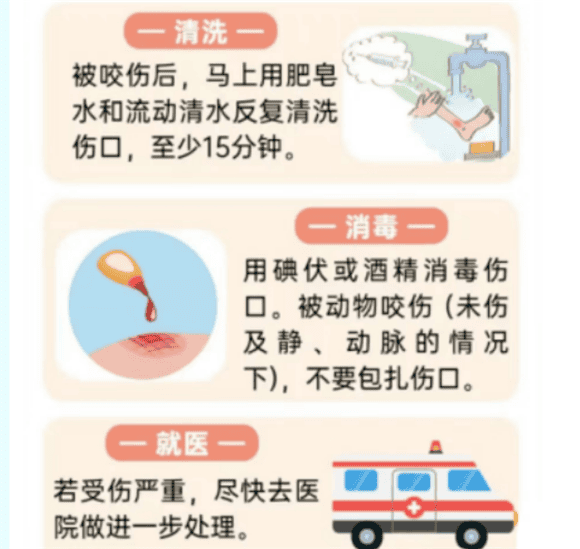  What to do after being bitten by a cat or dog? Tetanus is caused by Tetanus bacilli that invades the human body through a break in the skin or mucous membranes, causing persistent skeletal muscle disease throughout the body. An acute, specific, toxic disease characterized by tonic contractions and paroxysmal spasms, with a very high mortality rate. </p><p>What should you do if you are bitten by a dog or scratched by a cat? </p><p>The first step: Prevent rabies</p><p>Wound debridement</p><p>Vaccinate with rabies vaccine/passive immune preparation</p><p>The second step: Prevent rabies If you have a cold, you should follow the relevant provisions of the 