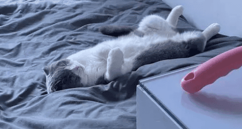 The relationship between the cat sleeping position on the bed and its owner