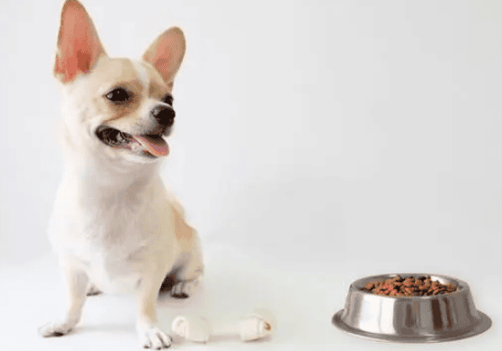 How about Le Pet Diary dog ​​food