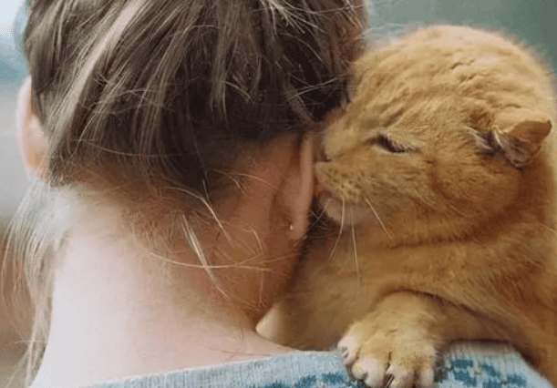 Cats like to be close to spiritual people