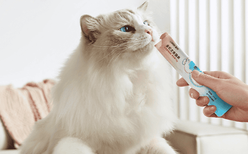 Ridou Neptune cat strips: a delicious feast for cats, Lidian Neptune cat strips lead a new trend in the cat world