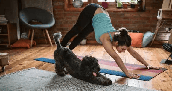 Dogs often bow their backs, so that's what they mean!