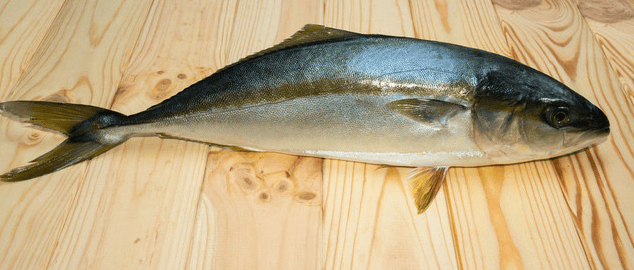  Hamachi: As a top Japanese delicacy, how many do you know 