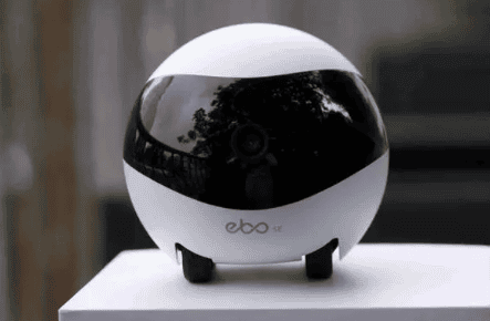 Popular science: How is the Ebo pet robot?