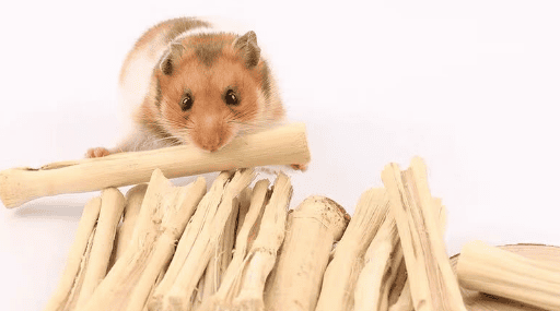 What can small hamsters use to grind their teeth? How to make homemade hamster molar sticks? 