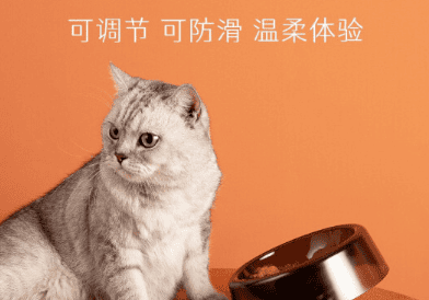 Xiaohongli feeding bowl: a choice to protect the health of the cat's cervical spine