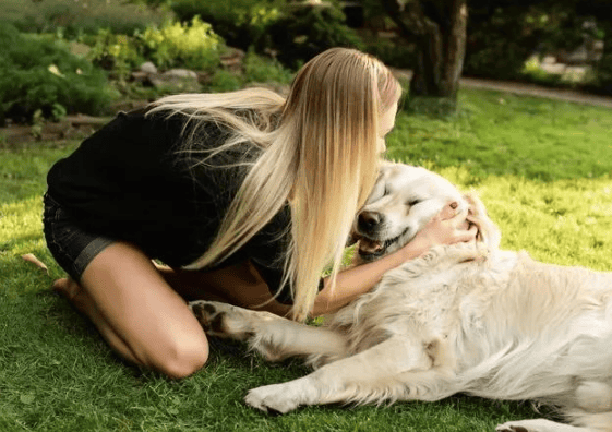 What should a 5-month-old golden retriever eat? How to choose dog food for a 5-month-old golden retriever