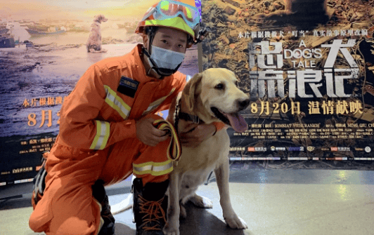 Rescue Dog Jingle movie prototype photo