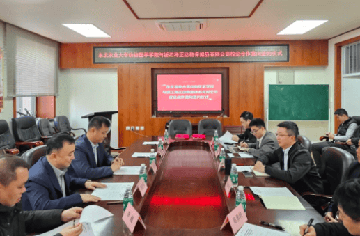 School-enterprise cooperation for development—Hisun Animal Health and Northeast Agricultural University held a school-enterprise cooperation intention signing ceremony