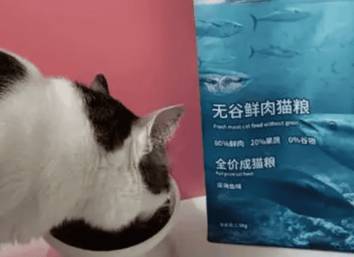 What kind of food do the seven kinds of fish cat food belong to