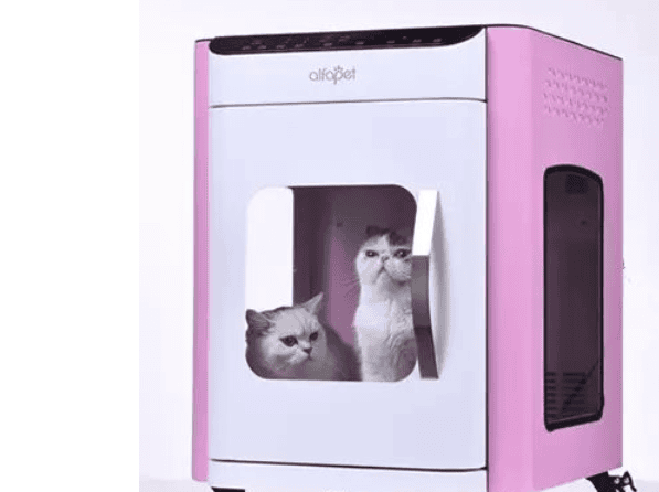 Revelation/Alfa Why are pet smart dryers so popular?