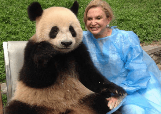 How much money do giant pandas cost? They eat 7 million every year , Canada cannot afford to raise them and send them back to our country early