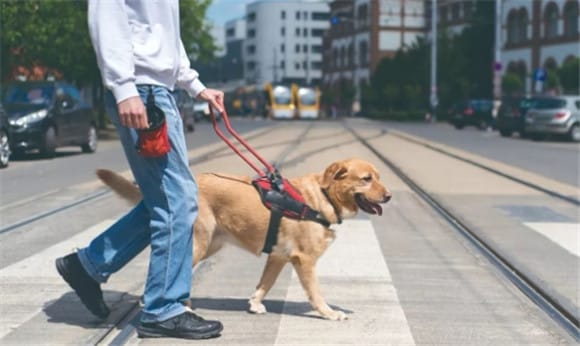  Do guide dogs know that their owners cannot see?