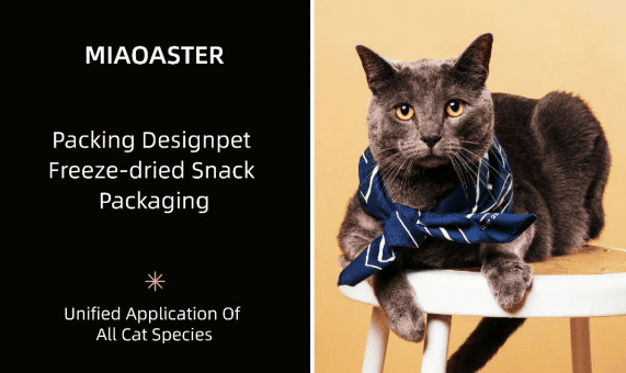 Meowster - IP species, the exclusive memory of the brand