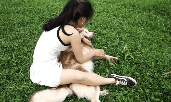 Women wearing small skirts riding dogs