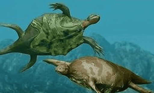 What is the oldest turtle in the world? The Odontosaurus that appeared in the Cretaceous Era