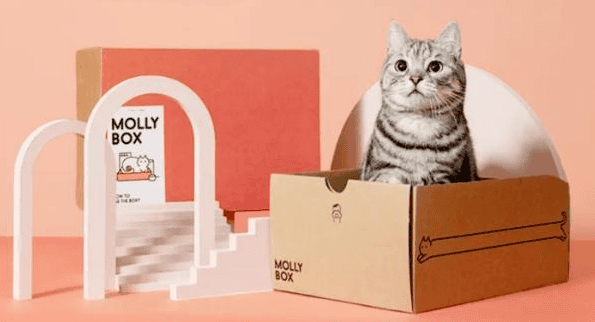 Magic Cat Box completed US$20 million in financing, how should domestic pet e-commerce develop