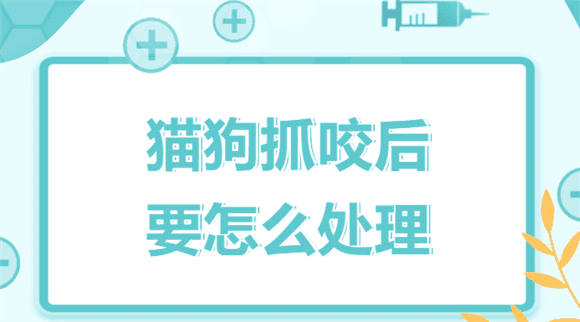  What to do if a cat or dog bites you? On the same day, the National Administration of Disease Control and Prevention issued the 