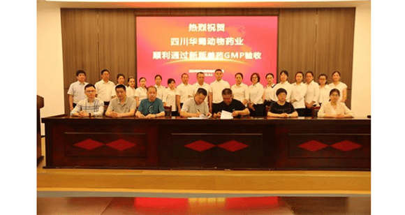 Warm congratulations! Sichuan Huashu Animal Pharmaceutical Co., Ltd. passed the new version of veterinary drug GMP! ! The expert group conducted a strict, detailed and comprehensive inspection of the company's production plant layout, equipment and facilities, factory areas, environmental sanitation, laboratories and facilities, testing instruments and other hardware, as well as GMP software materials and records; Inspectors conducted on-site inspections. </p><p style=