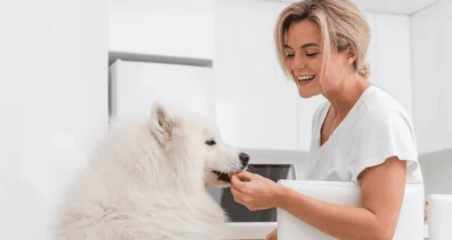 What kind of dog food is good for a two-month-old Samoyed puppy?