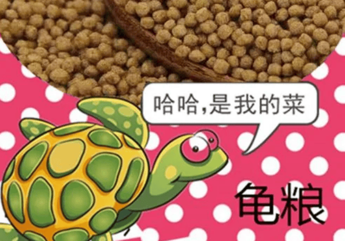 What is the role of pet-resistant turtle food