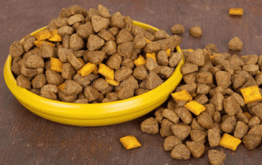 Is it true that Dingqu dog food is so cheap?