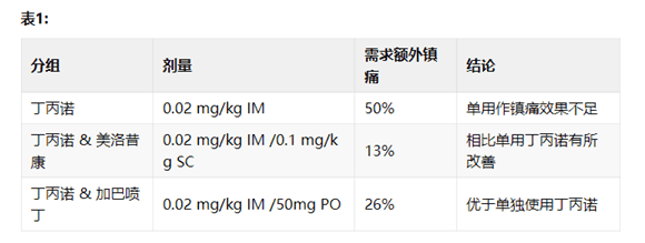 Using Gabapentin in Cats - Ensuring Correct Dosing